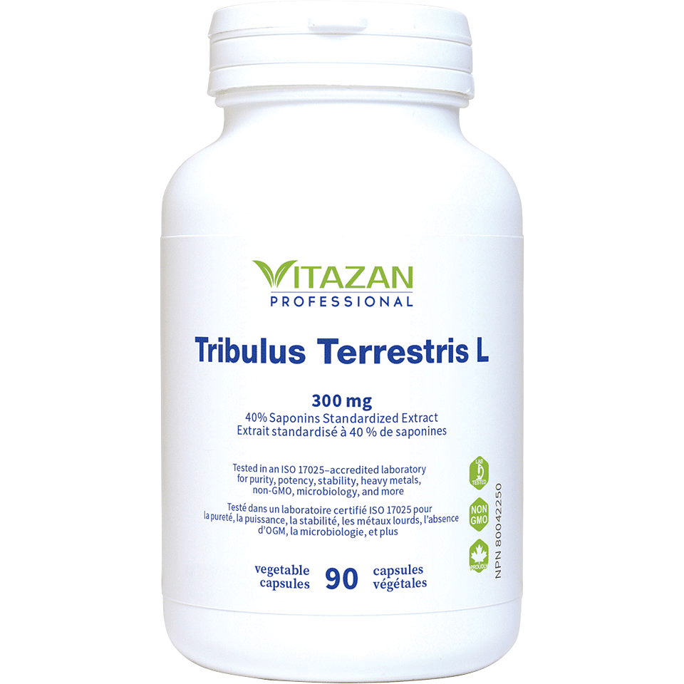 Tribulus Terrestris L Image