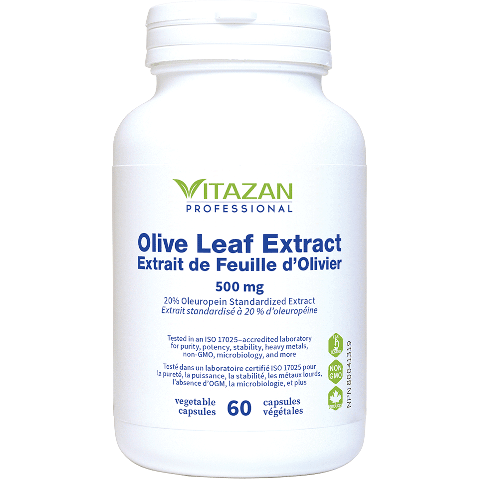 Olive Leaf Extract (500 mg · 20% Oleuropein Standardized Extract) Image