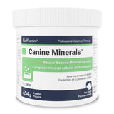 Rx Vitamins mélange de minéraux en poudre pour chien - 454 g image 1