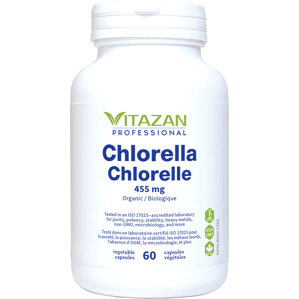 Chlorella Image