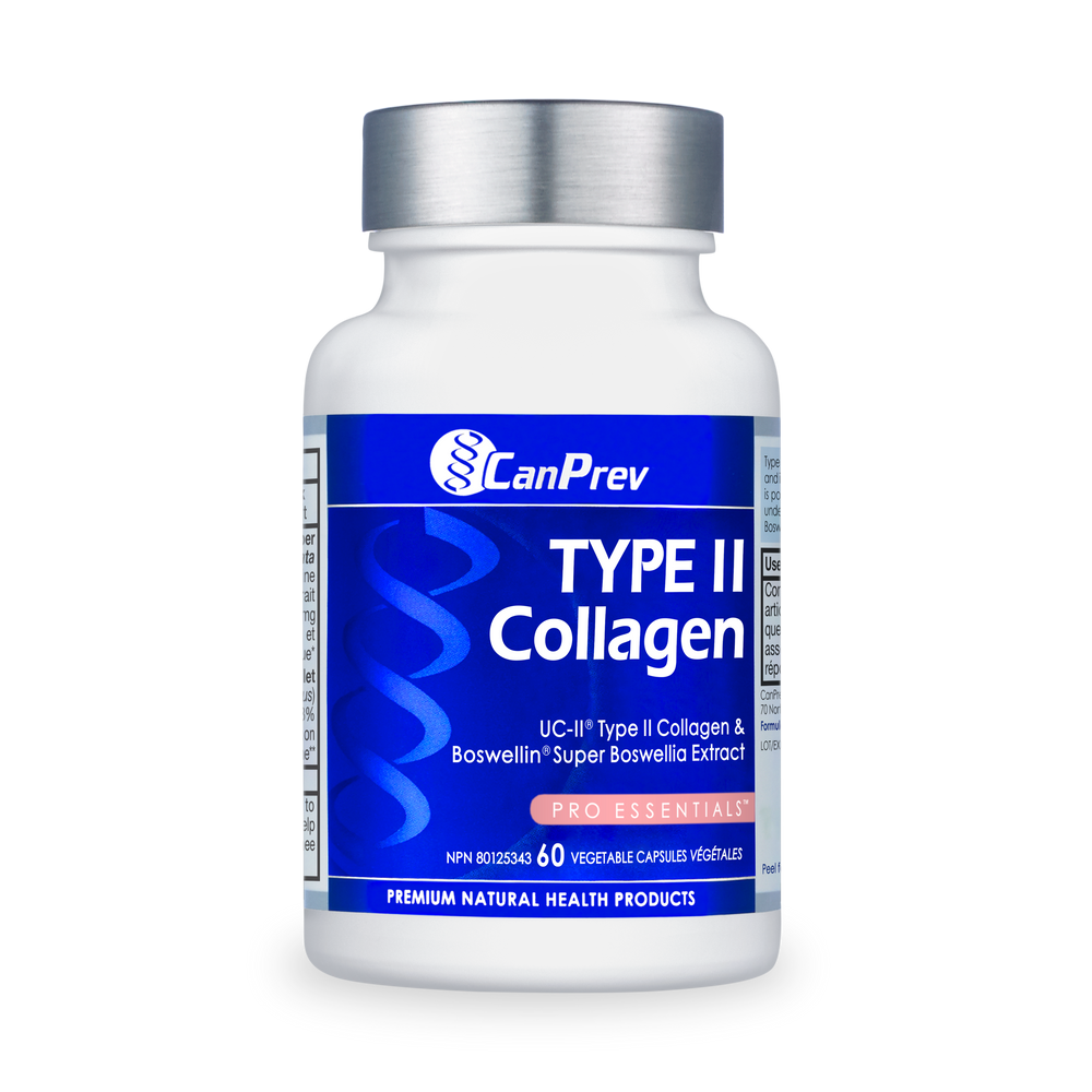Type II Collagen Image