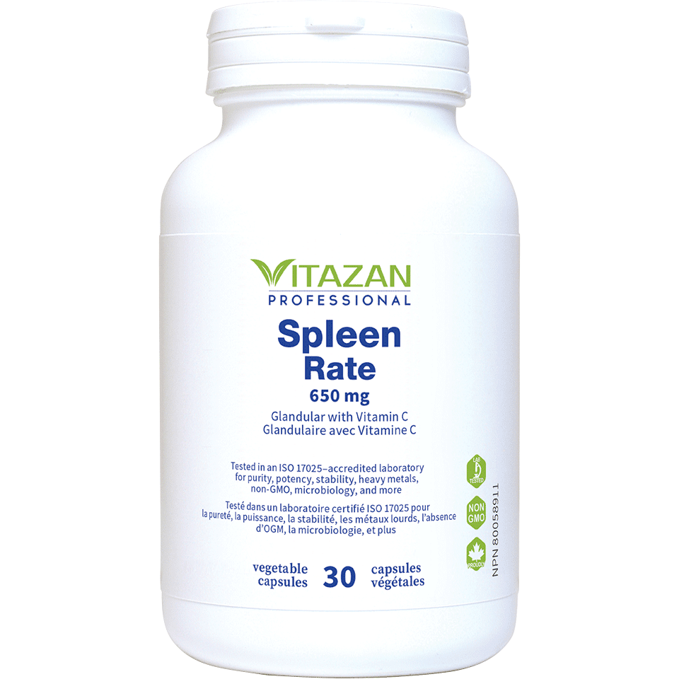 Spleen Image