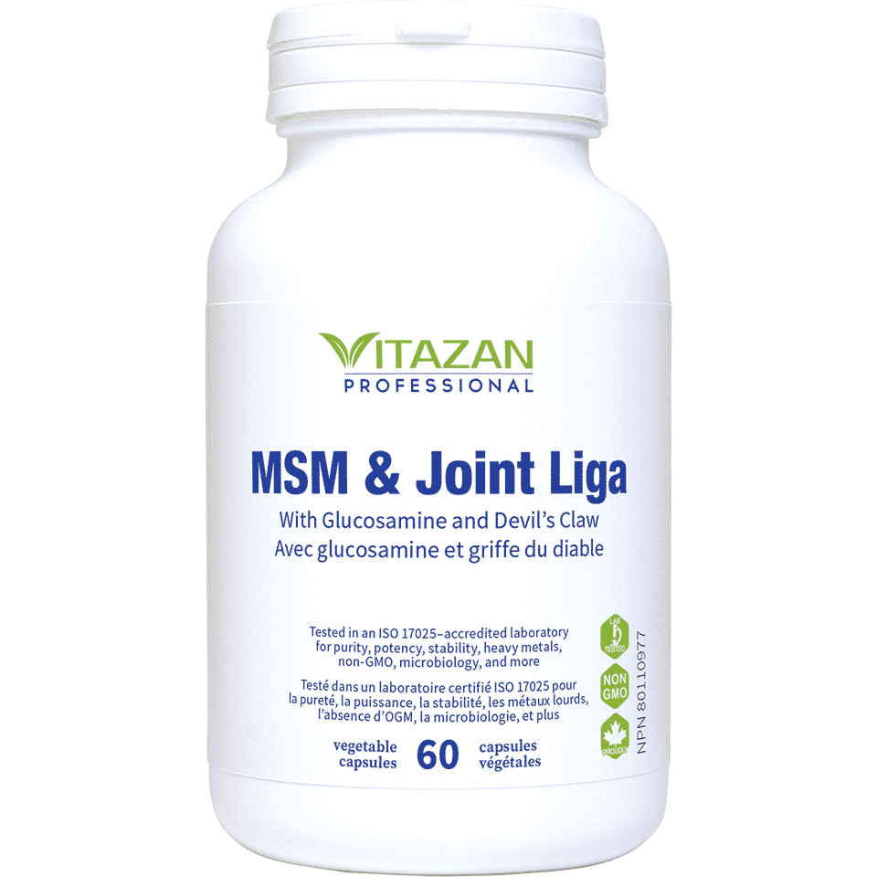 MSM & Joint-Liga Image