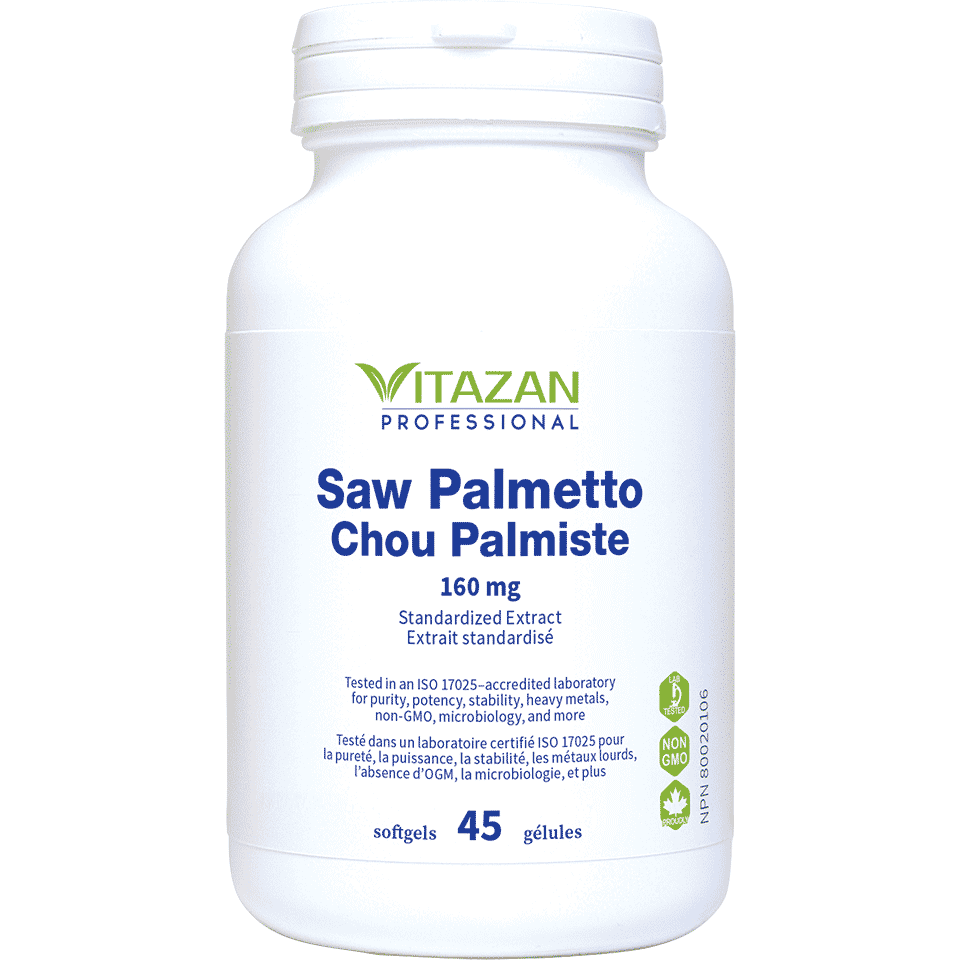 Saw Palmetto Image