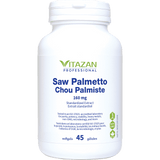 Saw Palmetto image 1