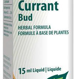 Black Currant Bud image 1