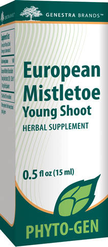 European Mistletoe Young Shoot Image