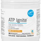 Atp Ignite image 1