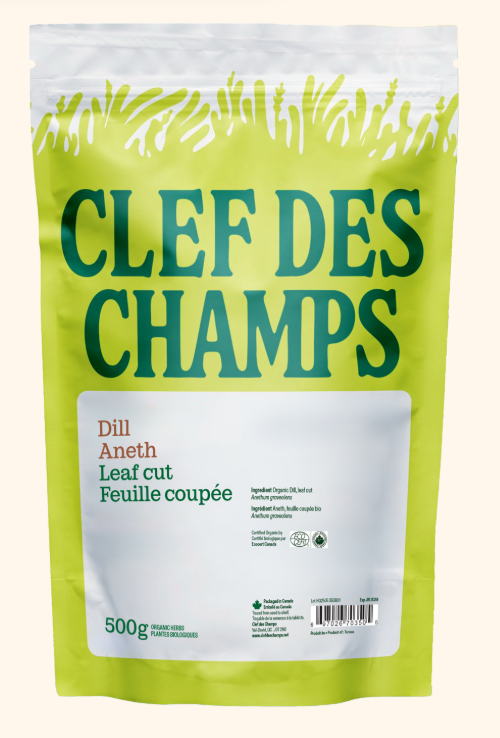 Aneth - Feuille coupée Image