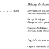 Ashwagandha Vivant image 3
