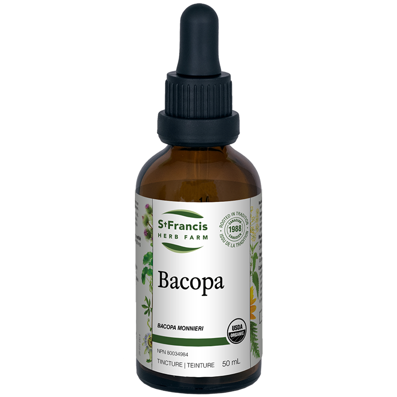 Bacopa Image