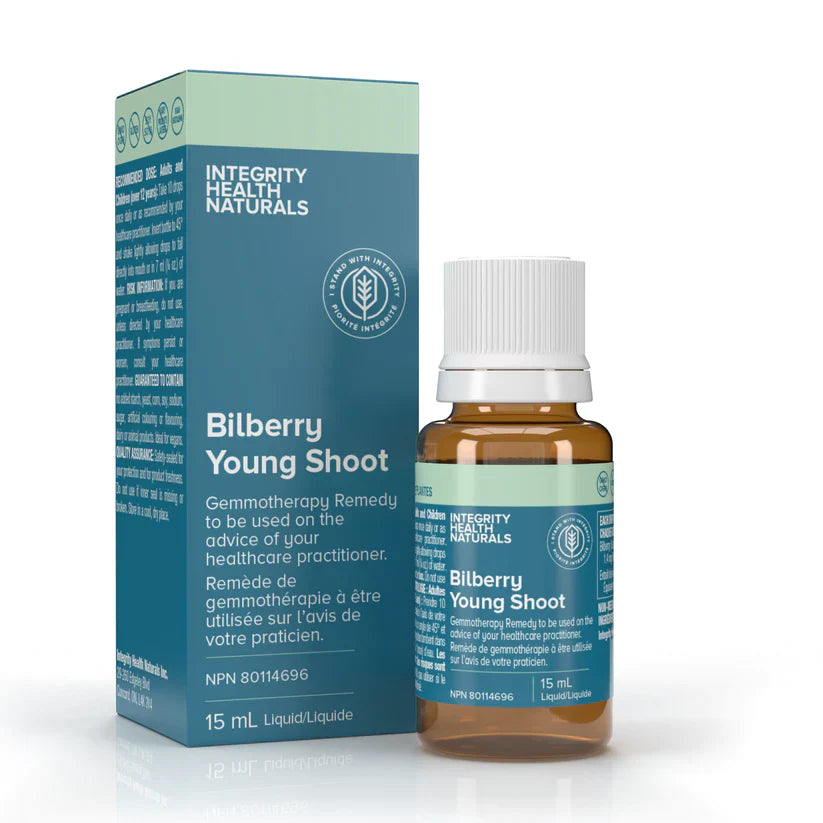 Bilberry Young Shoot - Vaccinium myrtillus Image