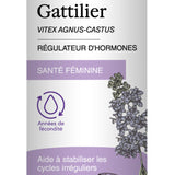 Gattilier (Vitex) image 1