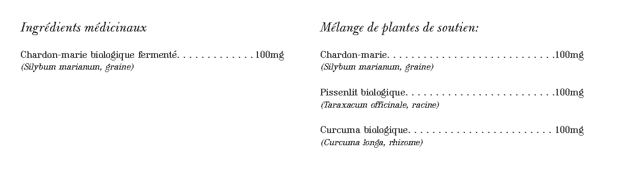 Chardon Marie Vivant