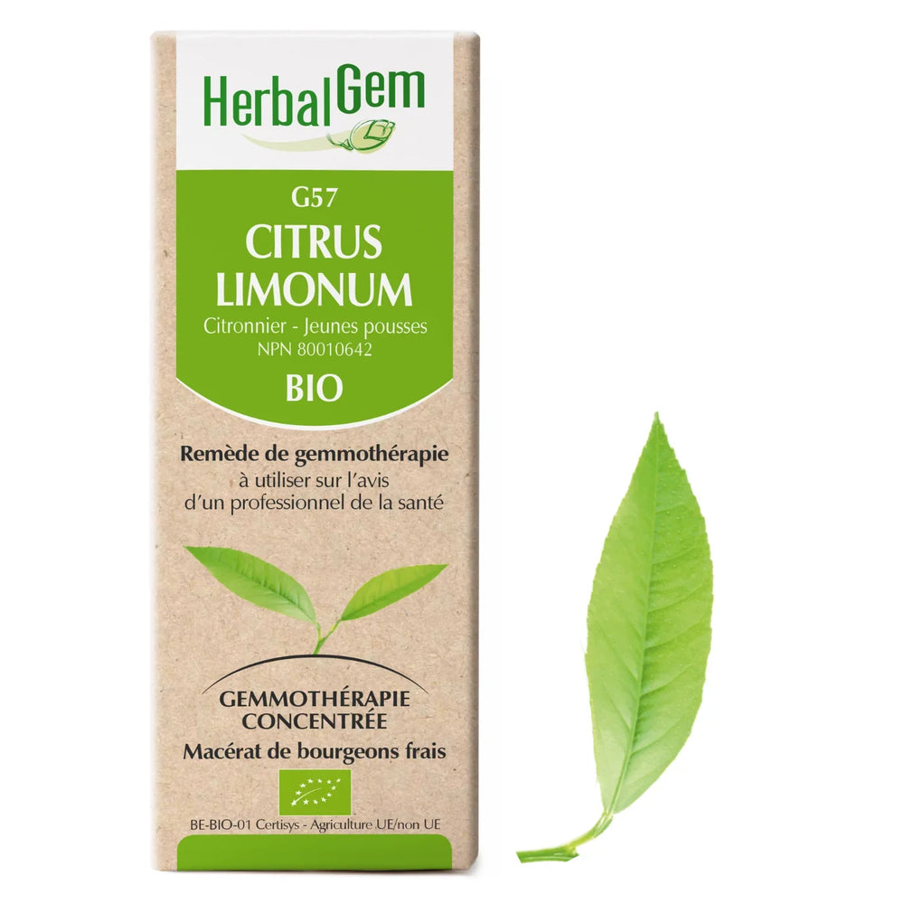 G57 - Citrus limonum - citronnier Image