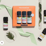 Coffret diffusion Énergie image 2