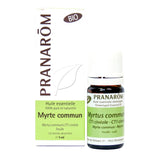 Myrte commun image 1