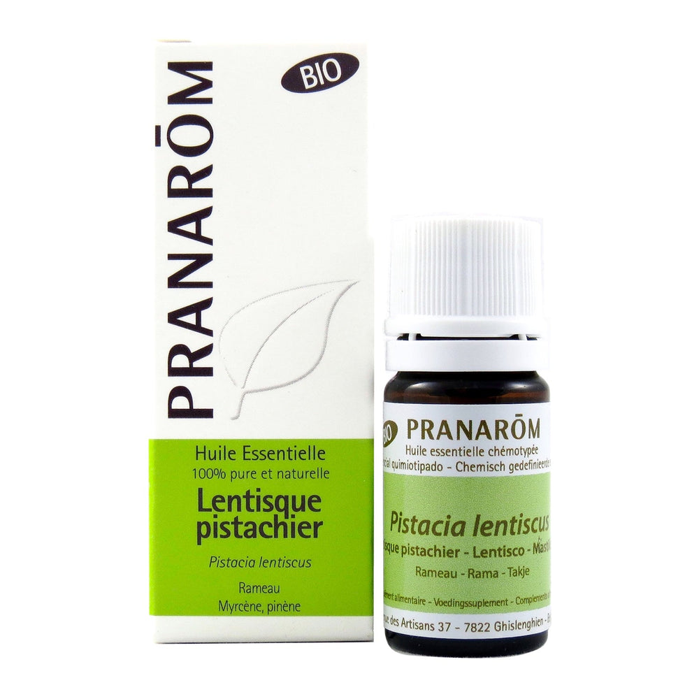 Lentisque pistachier Image