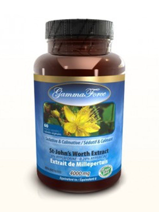 St. John's wort Image