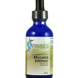 Mycelia Intrinsic image 1