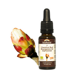 Bour.Marrons image 1