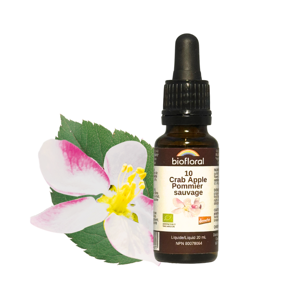 Pommier sauvage Image