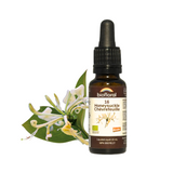 Chèvrefeuille image 1