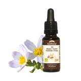 Violette d'eau image 1