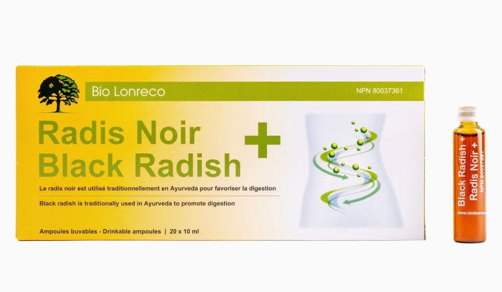 Radis Noir + Image