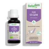 G24 ST-GEM image 1