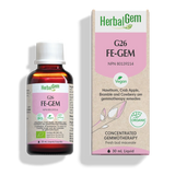 G26 FE-GEM image 1