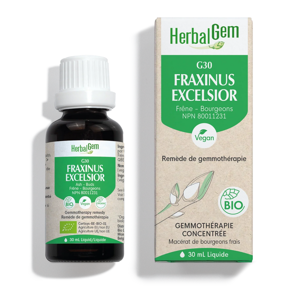 G30 - Fraxinus excelsior (frêne)