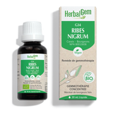 G34 - Ribes Nigrum - cassis image 1