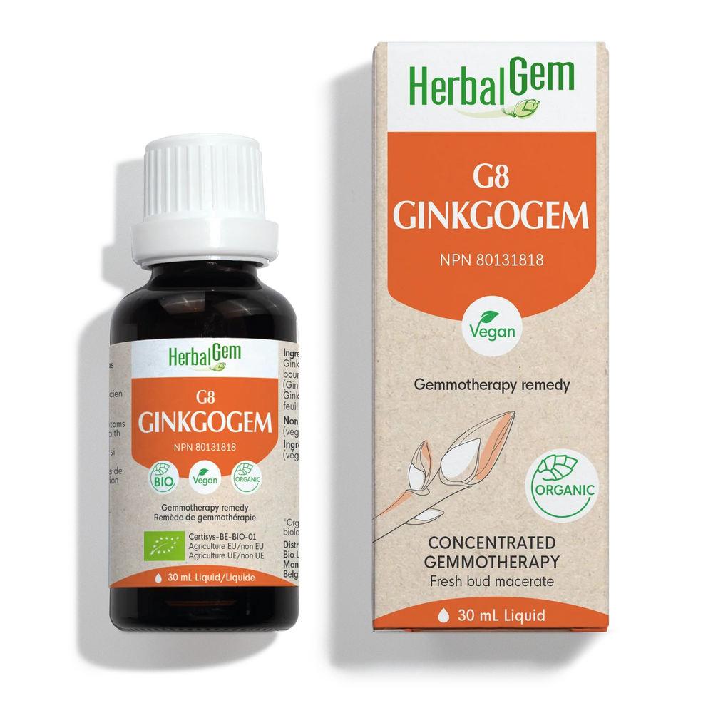 G8 GINKOGEM Image