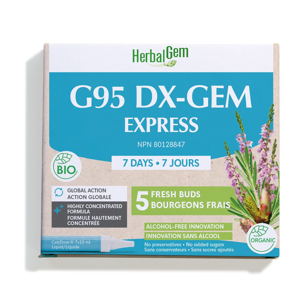 G95 DX-GEM EXPRESS - 7 jours Image