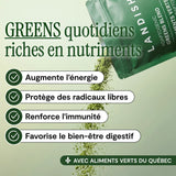 Aliments verts (Greens) mélange adaptogène image 3