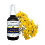 Hydrolat Hélichryse image 1