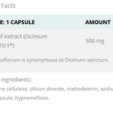 Basilic Sacré image 4
