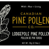 Pine Pollen Lodgepole image 2