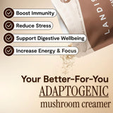 Crémeur à café aux 5 champignons image 2