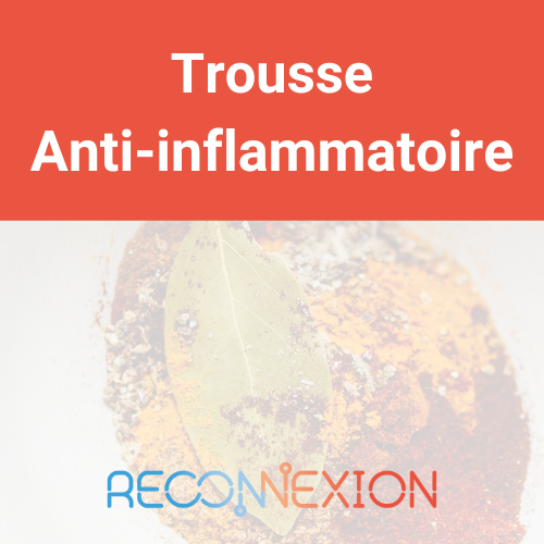 Trousse Anti-inflammatoire Reconnexion