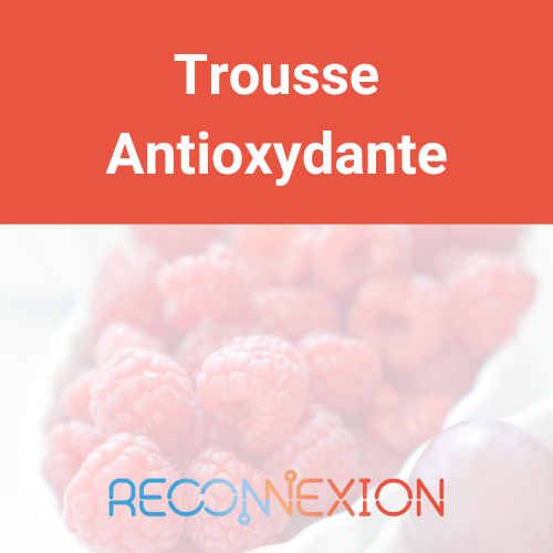 Trousse Antioxydante Reconnexion