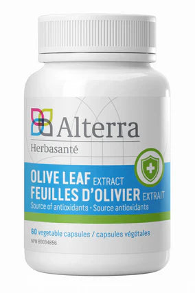 Feuille d'olivier - Olive Leaf Image