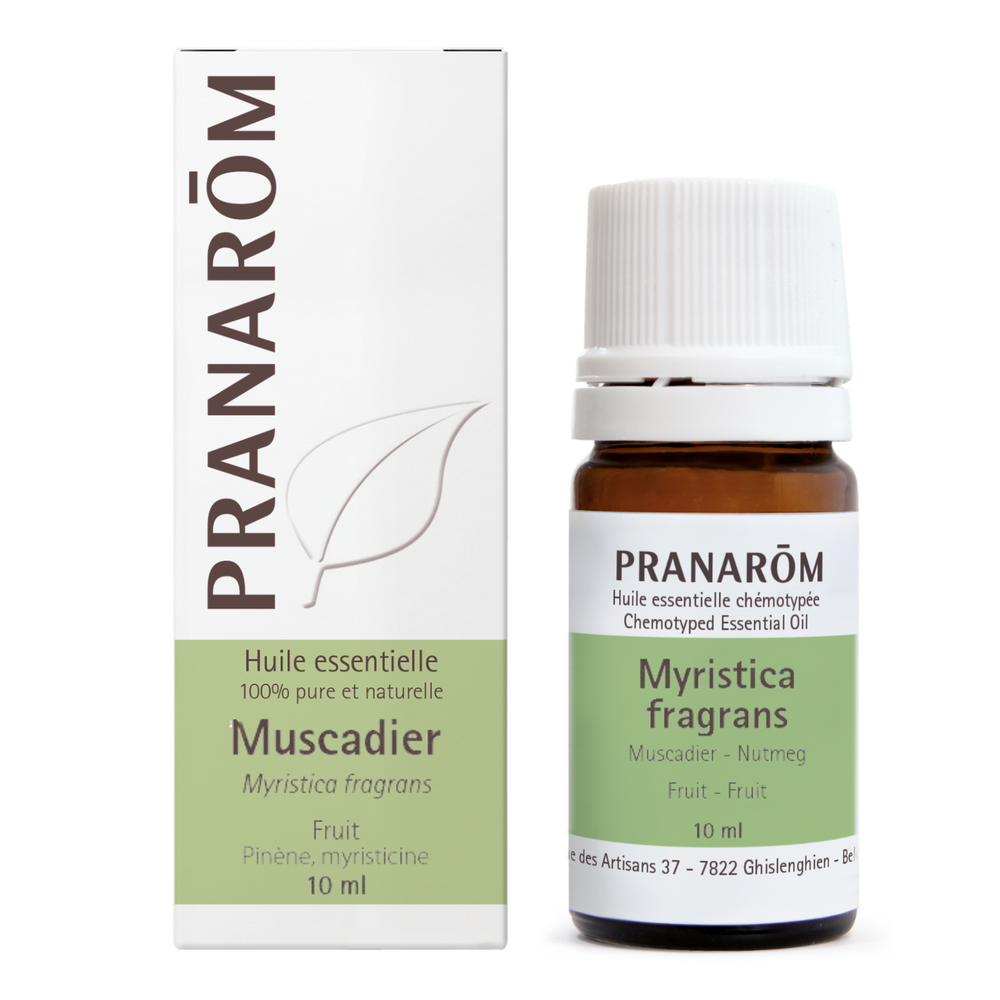 Muscadier - fruit Image