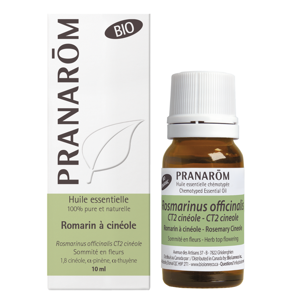 Romarin cinéole Image