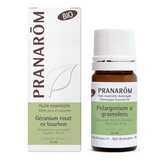 Géranium rosat cv bourbon - feuille BIO image 1