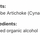 Globe Artichoke image 3