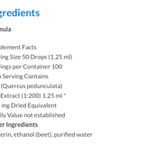 Quercus Pedunculata image 2