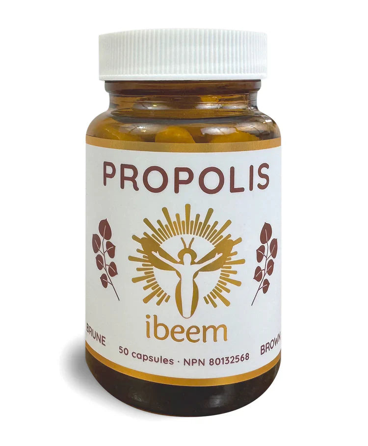 Capsules de propolis brune de peuplier Image
