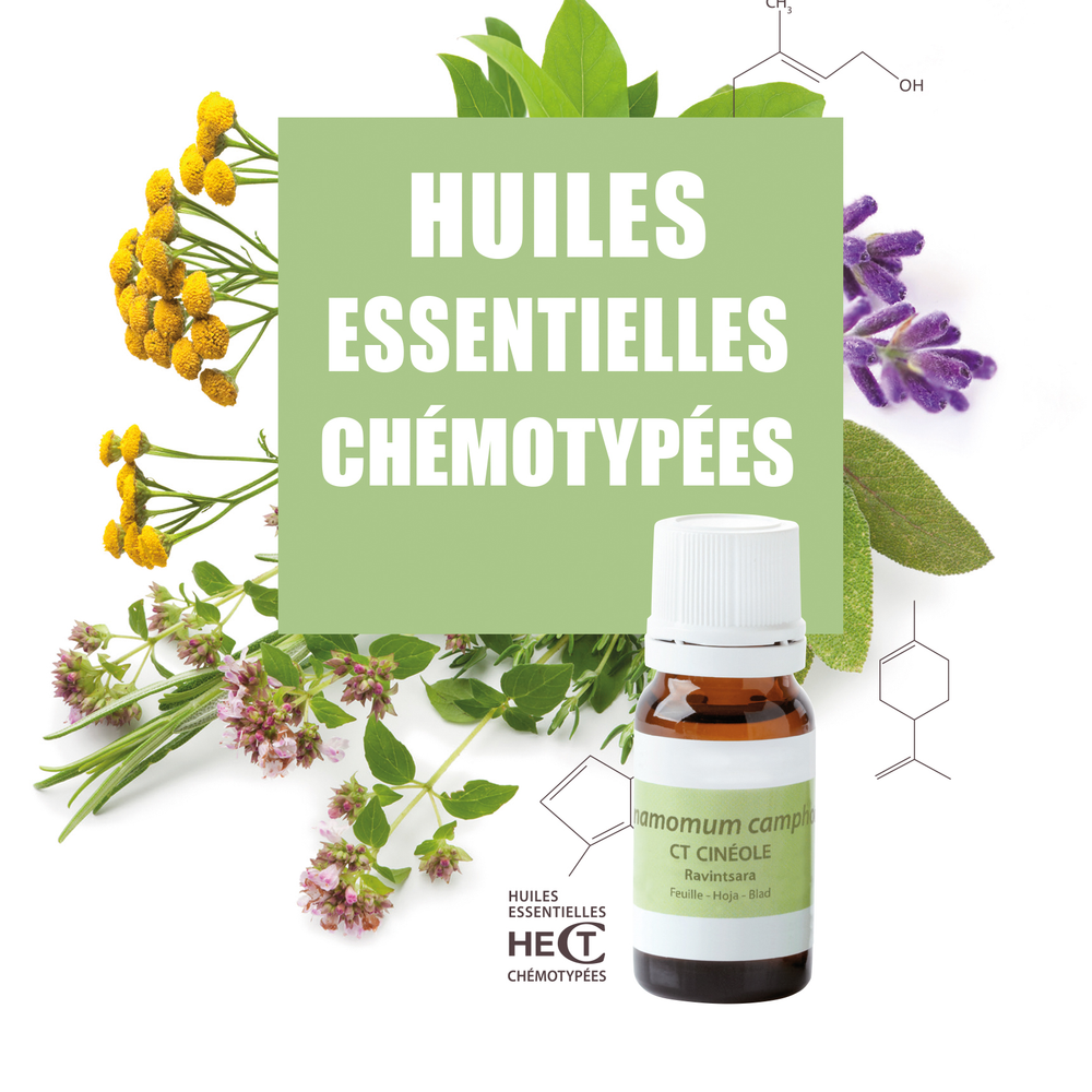 Livret Huiles essentielles chémotypées Image